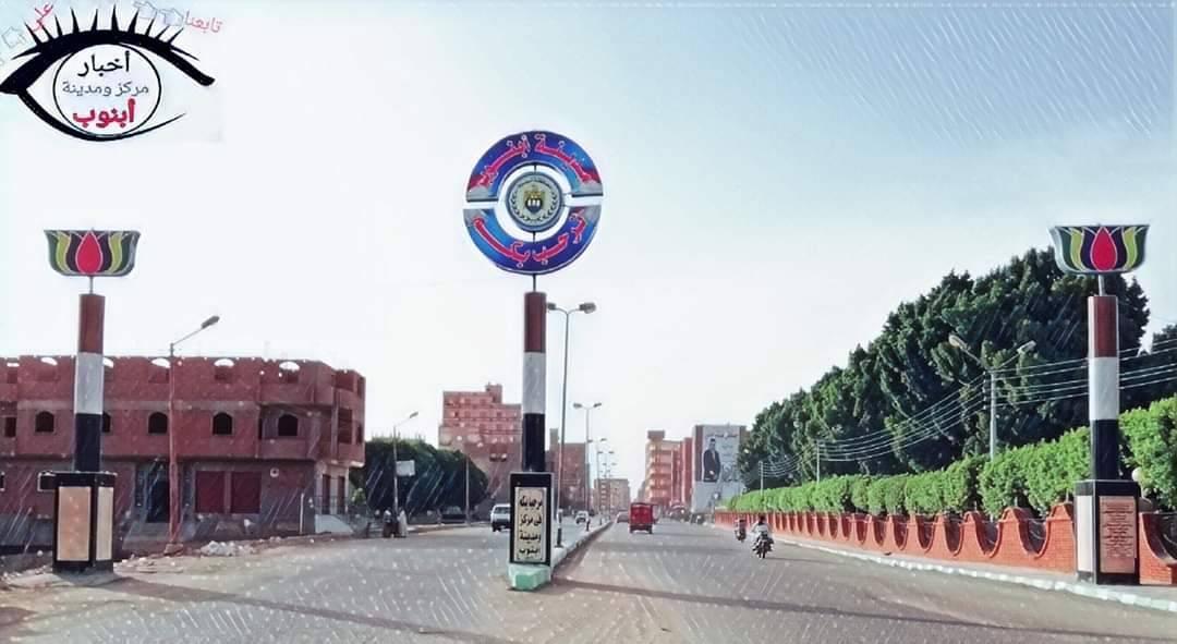 صور مركز أبنوب